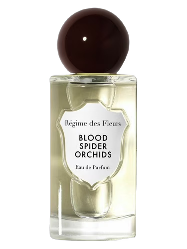 Regime des Fleurs Blood Spider Orchids